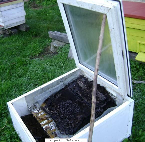 Topitor solar ceara (poze) - alt stupar - PLANURI....PLANURI....PLANURI.....