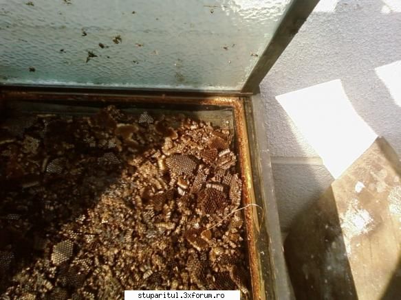 Topitor solar ceara (poze) - Cand raman doar camasile, nu mai curge - PLANURI....PLANURI....PLANURI.....