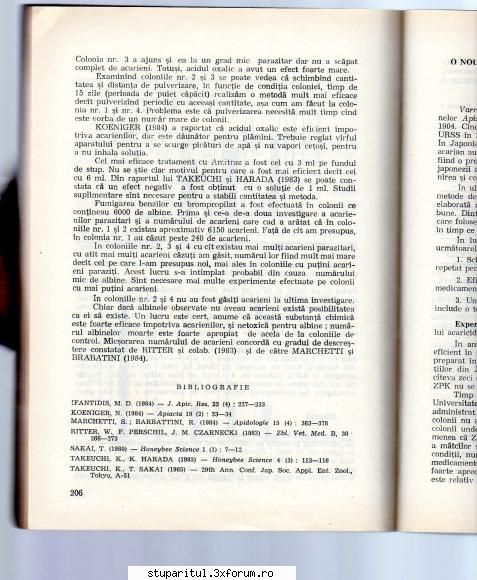 Tratament cu BeeVital - gica - BOLI SI DAUNATORI - TRATAMENTE