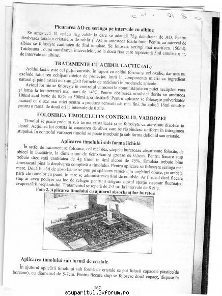 Tratament cu BeeVital - gica - BOLI SI DAUNATORI - TRATAMENTE