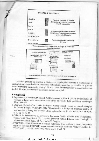 Tratament cu BeeVital - gica - BOLI SI DAUNATORI - TRATAMENTE