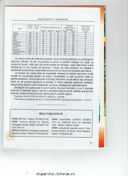 Tratament cu BeeVital - gica - BOLI SI DAUNATORI - TRATAMENTE