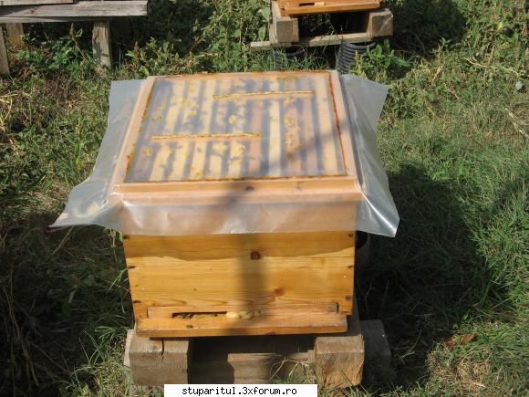 Tratament cu Varachet - Intr-o ora 36 de familii tratate fara nici un - BOLI SI DAUNATORI - TRATAMENTE