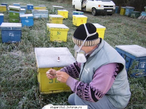 Tratament cu Varachet - dupa cum vedeti sint echipat cu masca pentru a nu - BOLI SI DAUNATORI - TRATAMENTE