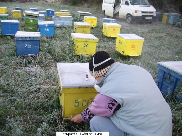 Tratament cu Varachet - Zip2006 - BOLI SI DAUNATORI - TRATAMENTE