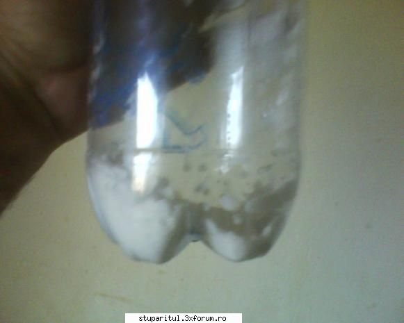 Tratament cu acid oxalic - inainte de a pune apa - BOLI SI DAUNATORI - TRATAMENTE