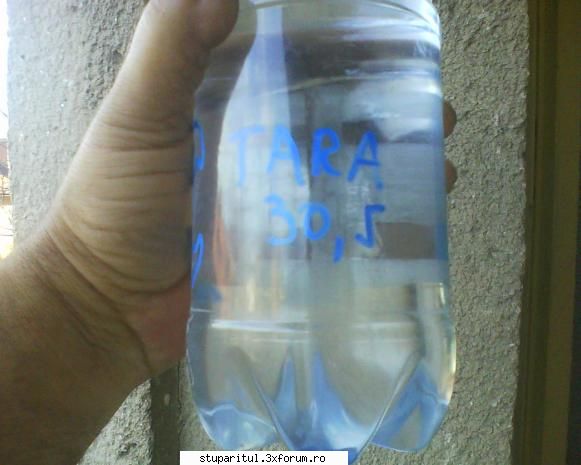 Tratament cu acid oxalic - solutie de AO 3% cristal - BOLI SI DAUNATORI - TRATAMENTE