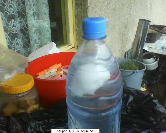 Tratament cu acid oxalic - sus se mai vede gheata - BOLI SI DAUNATORI - TRATAMENTE