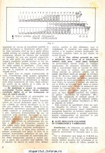 Tratament cu acid oxalic - gica - BOLI SI DAUNATORI - TRATAMENTE