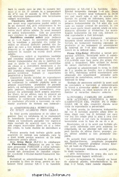 Tratament cu acid oxalic - gica - BOLI SI DAUNATORI - TRATAMENTE