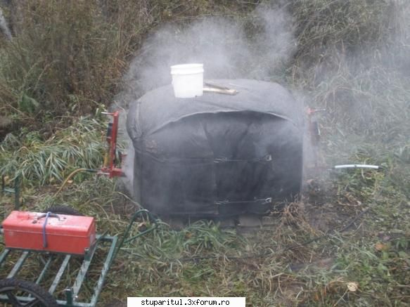 Tratament cu acid oxalic - nea Balas... matale stii ce fac astia aicea nu??? - BOLI SI DAUNATORI - TRATAMENTE