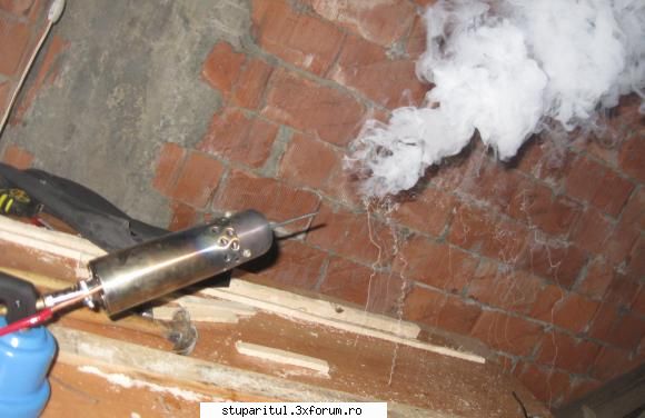 Tratarea Varoozei cu vaporizator tip Furetto - Si aparatul pentru tratament - BOLI SI DAUNATORI - TRATAMENTE