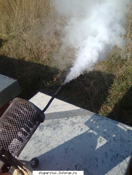 Ultimul tratament - Ieri am facut ultimul tratament pentru Varroa, cu - BOLI SI DAUNATORI - TRATAMENTE