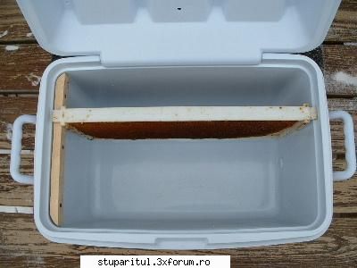 Un altfel de stup - Lada pentru alimente - PLANURI....PLANURI....PLANURI.....