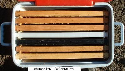 Un altfel de stup - Oare nu ar fi buna una si care are incorporat si - PLANURI....PLANURI....PLANURI.....