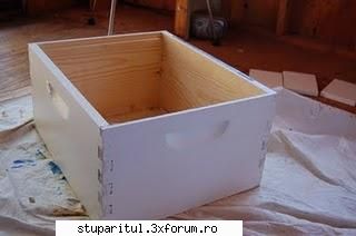 Un hoby frumos - Asa se picteaza in corp de stup. poza 1 - POZE