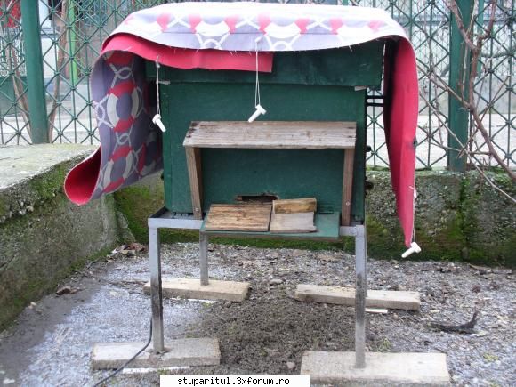 Un nou proiect - ADITZU - PLANURI....PLANURI....PLANURI.....