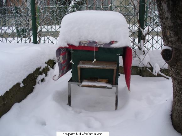 Un nou proiect - iote ce e pi la Teleorman are 35 de cm zapada pe - PLANURI....PLANURI....PLANURI.....