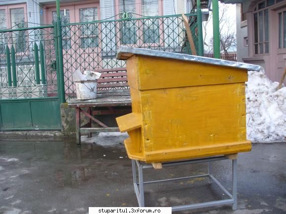 Un nou proiect - si alte activitati cu ocazia ivirii soarelui - PLANURI....PLANURI....PLANURI.....