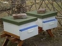 Un nou tip de hranitor? - Stiindu-va ,pe unii receptivi la nou, vin sa va - ECHIPAMENTE SI UTILAJE APICOLE