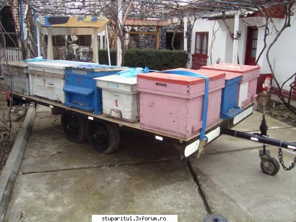 Unelte si scule apicole ajutatoare - bebi olt corabia - ECHIPAMENTE SI UTILAJE APICOLE