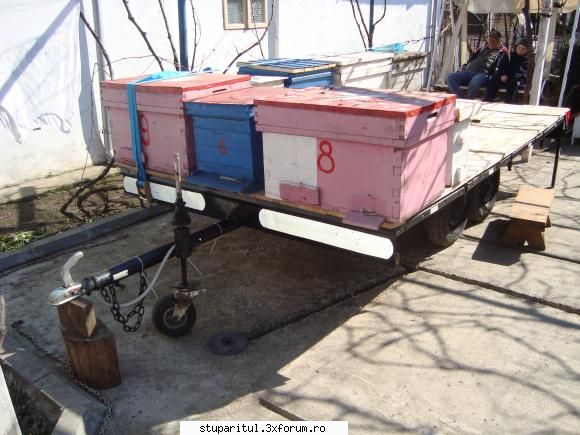 Unelte si scule apicole ajutatoare - bebi olt corabia - ECHIPAMENTE SI UTILAJE APICOLE