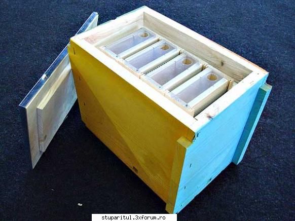 Utilizarea micronucleelor cu casete tip Quatrunchi - Patru casete, patru urdinise - CRESTEREA MATCILOR