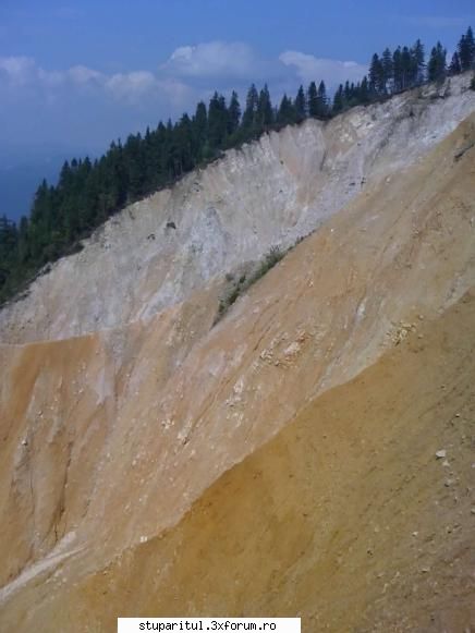 Veniti in Muntii Apuseni. - cristesorin - CALATORII SI INTALNIRI