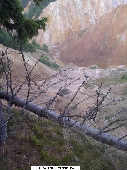 Veniti in Muntii Apuseni. - cristesorin - CALATORII SI INTALNIRI