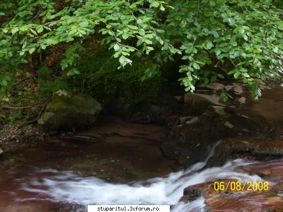 Veniti in Muntii Apuseni. - aici spre cascada Varciorog - CALATORII SI INTALNIRI