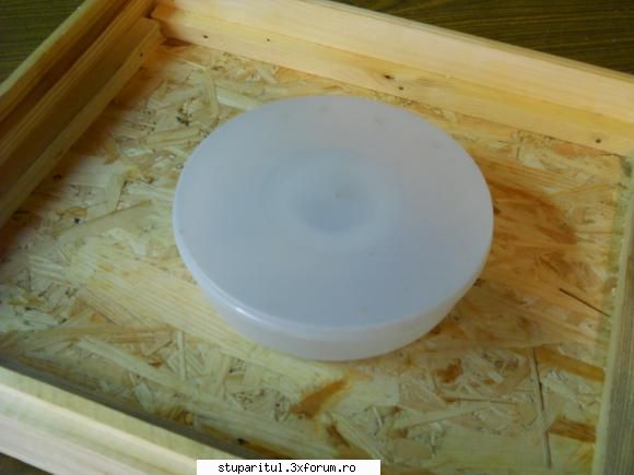 Visu' meu dintotdeauna - mie imi plac mai mult hranitoarele din plastic - PAGINI PERSONALE ! CINE SUNT EU ?