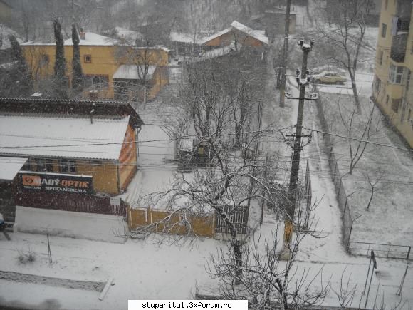 Vremea - Astazi in Carbunesti,-1grad si prima ninsoare - INTRETINEREA ALBINELOR