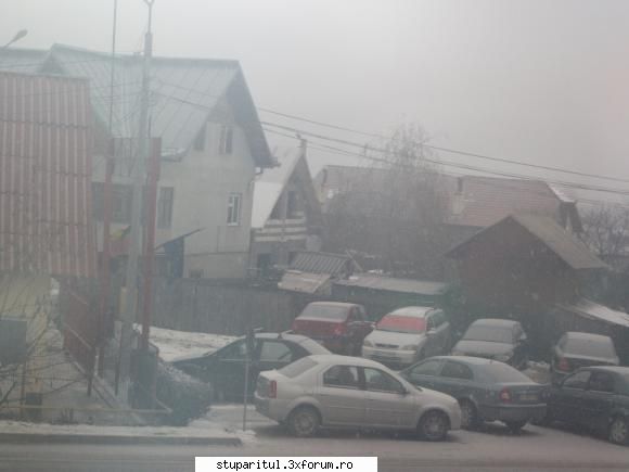 Vremea - Astazi la ora 15:30 vremea a inceput sa.si urmeze - INTRETINEREA ALBINELOR