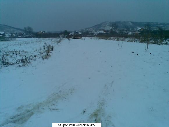 Vremea - Si la Targoviste zapada si temperaturi cu minus - INTRETINEREA ALBINELOR