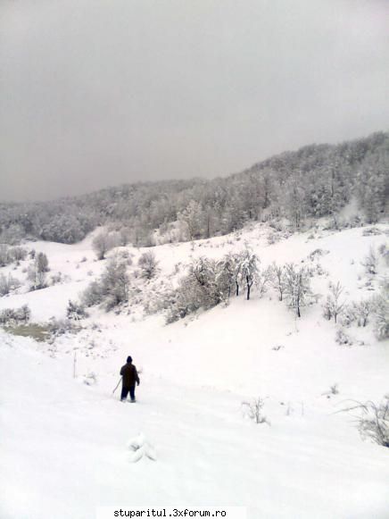 vremea natura