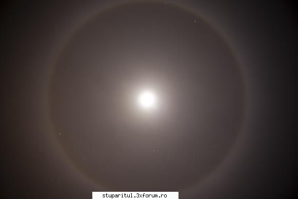 Vremea - Temperaturile isi revin, dar o ia razna luna - INTRETINEREA ALBINELOR