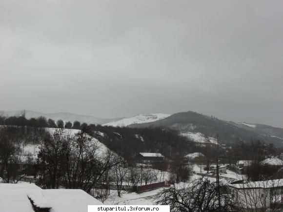 Vremea - Iarna pe Valea Buzaului....vedere spre Valea - INTRETINEREA ALBINELOR