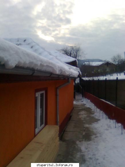 Vremea - la mine iarna nu vrea sa plece si de la noapte sa - INTRETINEREA ALBINELOR