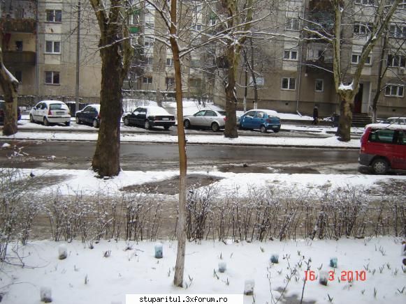 Vremea - Nea Gica, cred ca asta e primul val de care - INTRETINEREA ALBINELOR