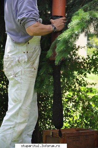 Warre cu leat fara rama - Si inca una cu roiul in ciorap.Nodul se face - INTRETINEREA ALBINELOR