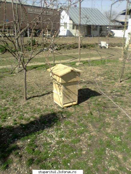 Warre cu leat fara rama - Sal, Mi-am facut si eu un Warre. Pozele sunt - INTRETINEREA ALBINELOR