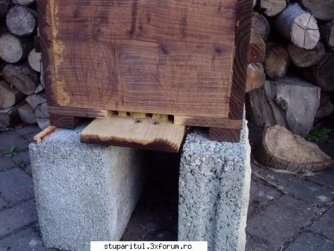 Warre cu leat fara rama - Am intrat pe ,,warrebeekeeping'' si am gasit o - INTRETINEREA ALBINELOR
