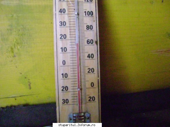 Zbor de Curatire - temperatura in pavilion - INTRETINEREA ALBINELOR