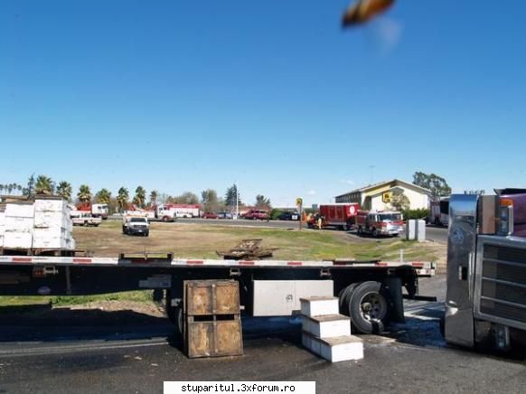 accident cu albine in america - cipy - POZE