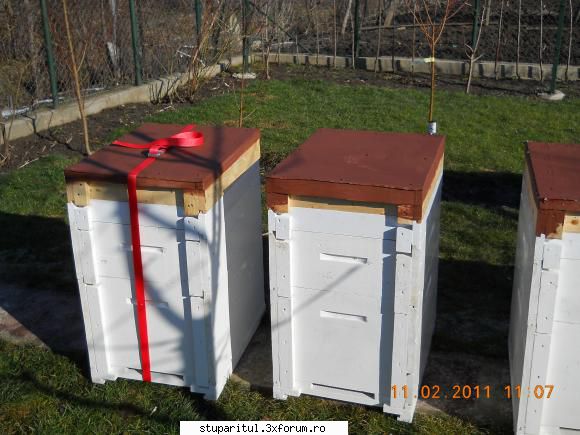 achizitii noi si modificari ale achizitiiilor - Nu stiu cum e mai bine cu - ECHIPAMENTE SI UTILAJE APICOLE