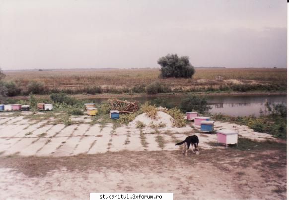 adi - Lacul Bambina si Lacul Matita - PAGINI PERSONALE ! CINE SUNT EU ?