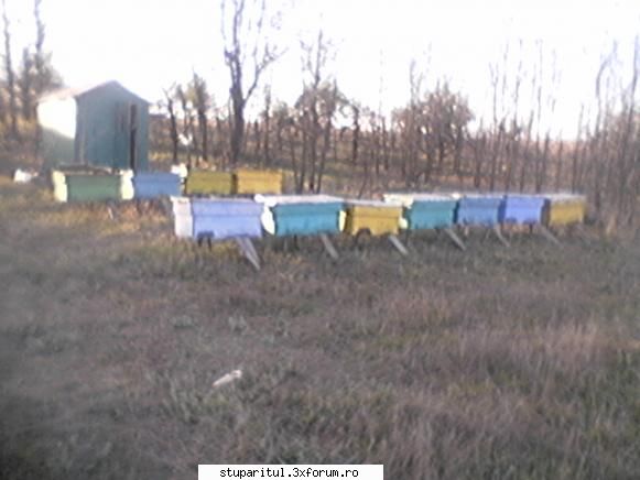 am si eu ceva de aratat - la salcam in 2007 .totul inghetat. doar 14 kg - PAGINI PERSONALE ! CINE SUNT EU ?