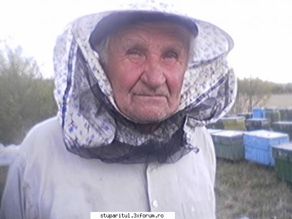 am si eu ceva de aratat - 60 ani de stuparit.mai vine si anul asta.eu il - PAGINI PERSONALE ! CINE SUNT EU ?