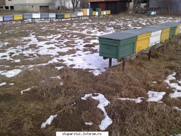 antiopa din ardeal - mai am o locatie dupa cum sper sa se vada - POZE