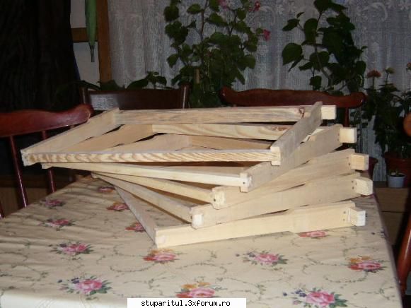 apicultor nou - eugen65 - POZE